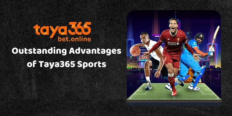 Experience Sports Betting Like Never Before with Taya365