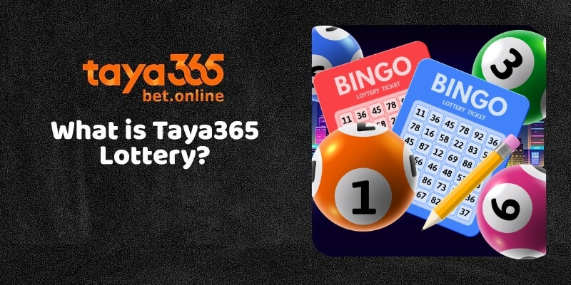 Play and Win at Taya365 Lottery