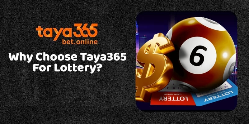 Why Choose Taya365 For Lottery?