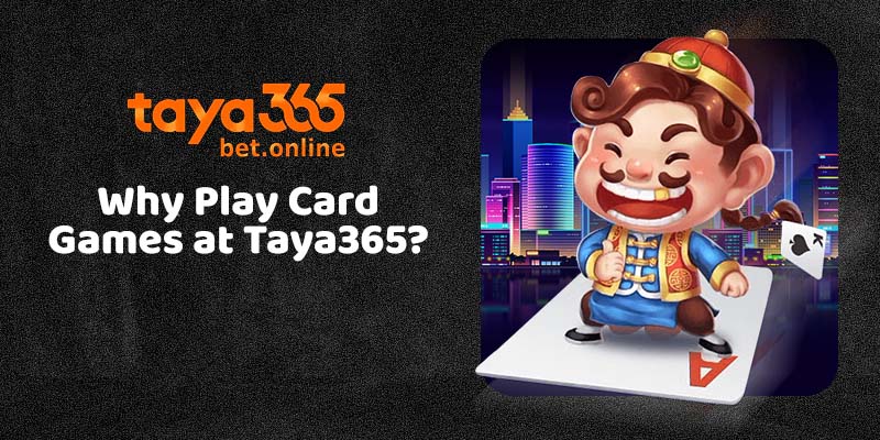 Why Play Card Games at Taya365?